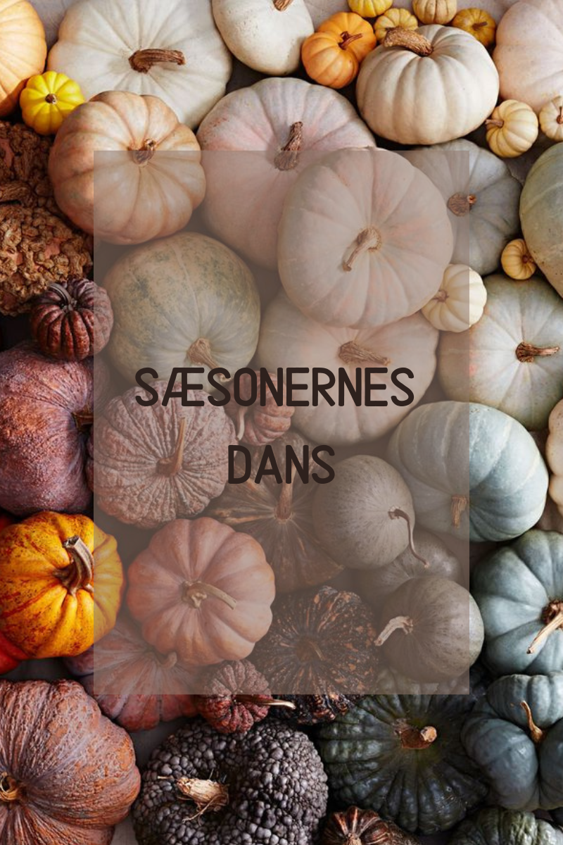 Sæsonernes Dans