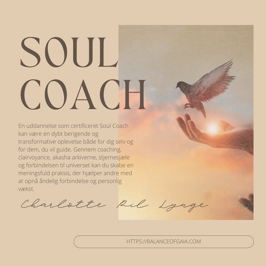 Soul Coach