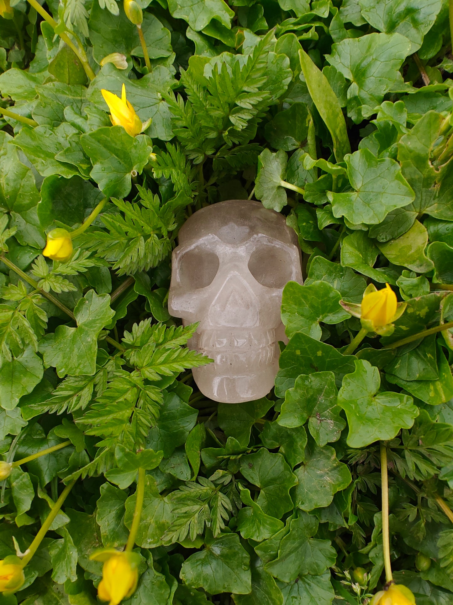 Bjergkrystal Skull